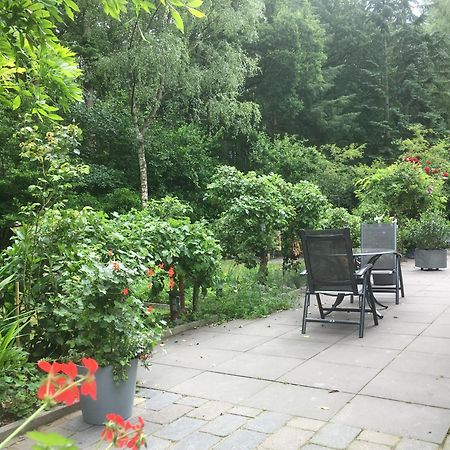 إرميلو B&B Porcini المظهر الخارجي الصورة
