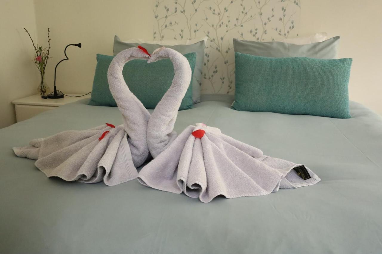 إرميلو B&B Porcini المظهر الخارجي الصورة